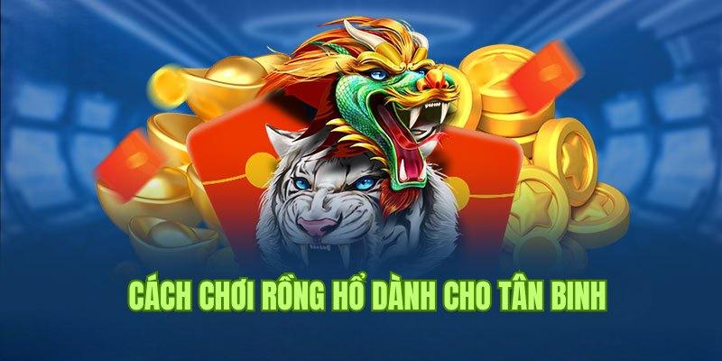 Cẩm Nang Hướng Dẫn Cách Chơi Rồng Hổ Từ A Đến Z